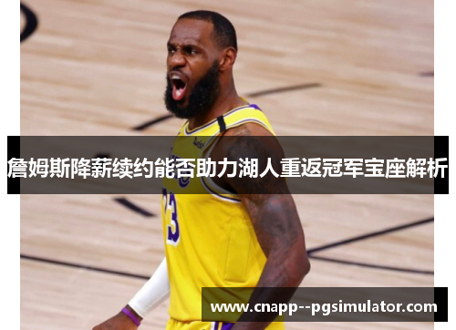詹姆斯降薪续约能否助力湖人重返冠军宝座解析