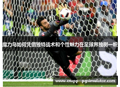 魔力鸟如何凭借独特战术和个性魅力在足球界独树一帜 魔力鸟如何凭借独特战术和个性魅力在足球界独树一帜
